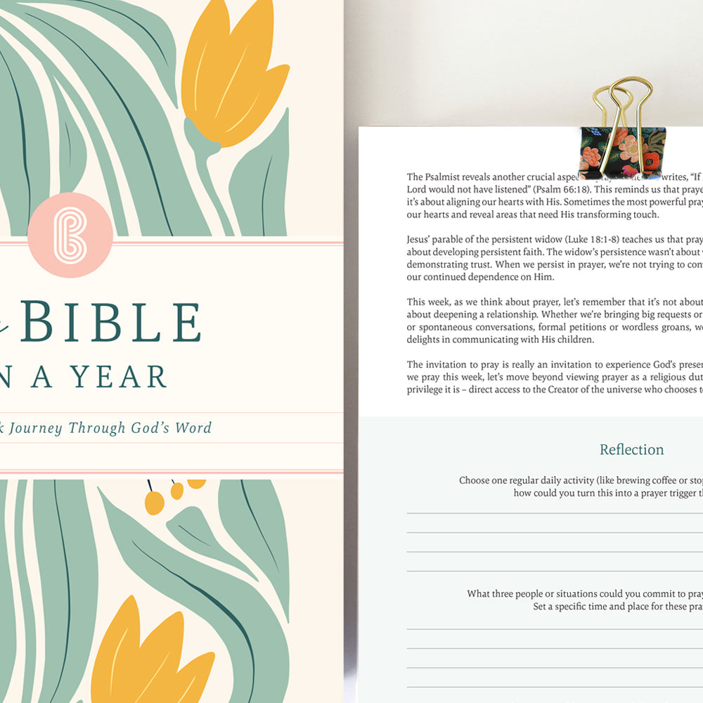 Bible Year Journey Study Guide