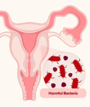 Everyday Intimate Balance Probiotic
