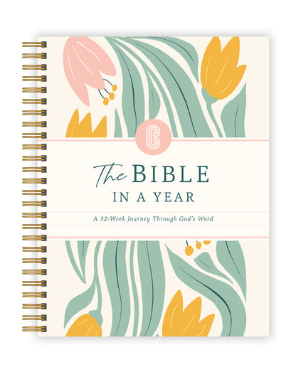 Bible Year Journey Study Guide