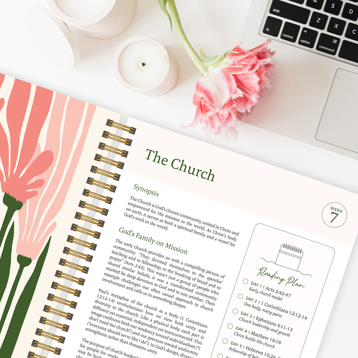 Bible Year Journey Study Guide