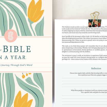 Bible Year Journey Study Guide