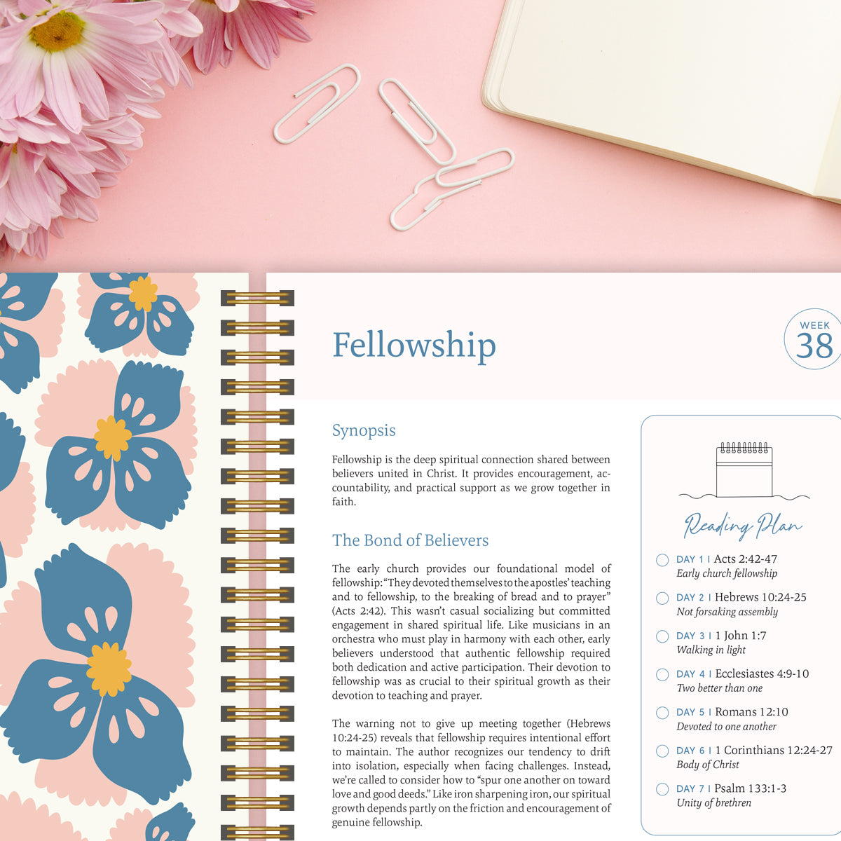 Bible Year Journey Study Guide