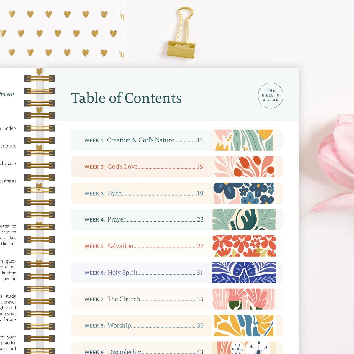 Bible Year Journey Study Guide